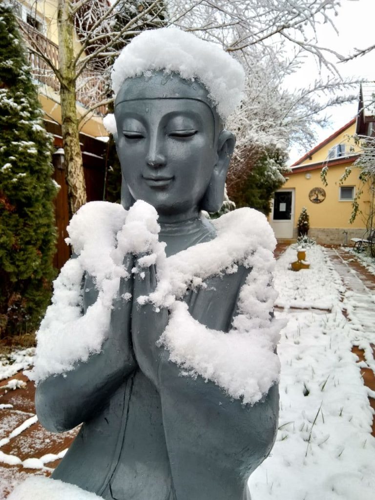 10-day Hridaya Silent retreat with Sahajananda, December 2021, on-site and on-line